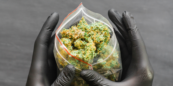 What Does 'Smalls' Mean In Weed? A Quick Guide