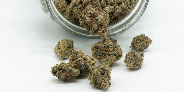 What Is Popcorn Weed? A Complete Guide To Smaller Cannabis Buds