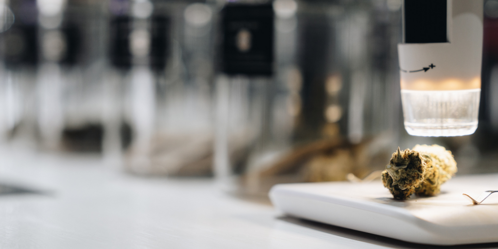 Why Are Dispensaries Selling THCA? Understanding The Trend And Benefits