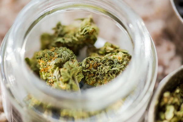 Does CBD Flower Expire? Understanding How to Keep It Fresh