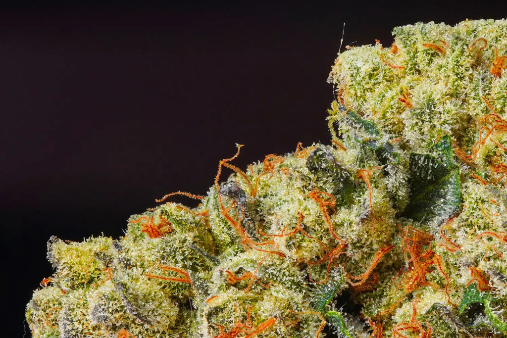 Does THCA Turn into THC Delta-9 When Smoked?