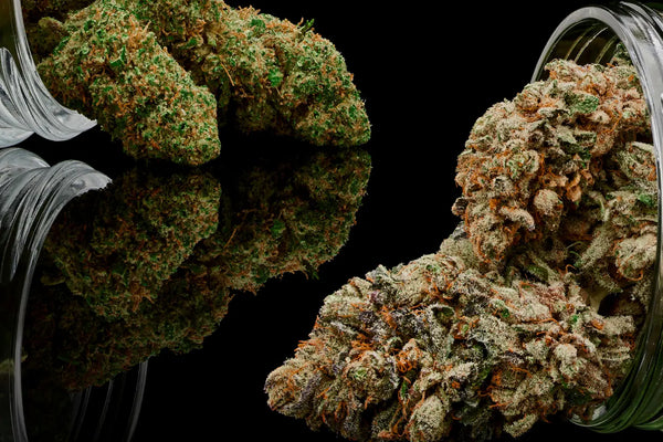 Exotic Hemp Flower: Exploring the Benefits of This Natural Remedy