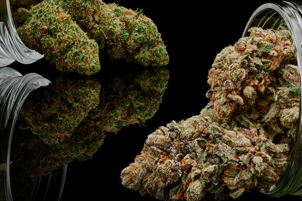 Exotic Hemp Flower: Exploring the Benefits of This Natural Remedy