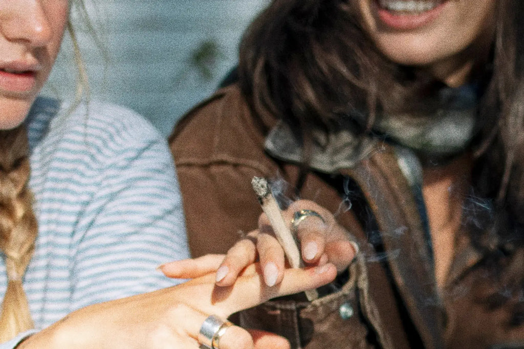 Exploring the Most Popular Strains of Hemp Flower: A Comprehensive Guide