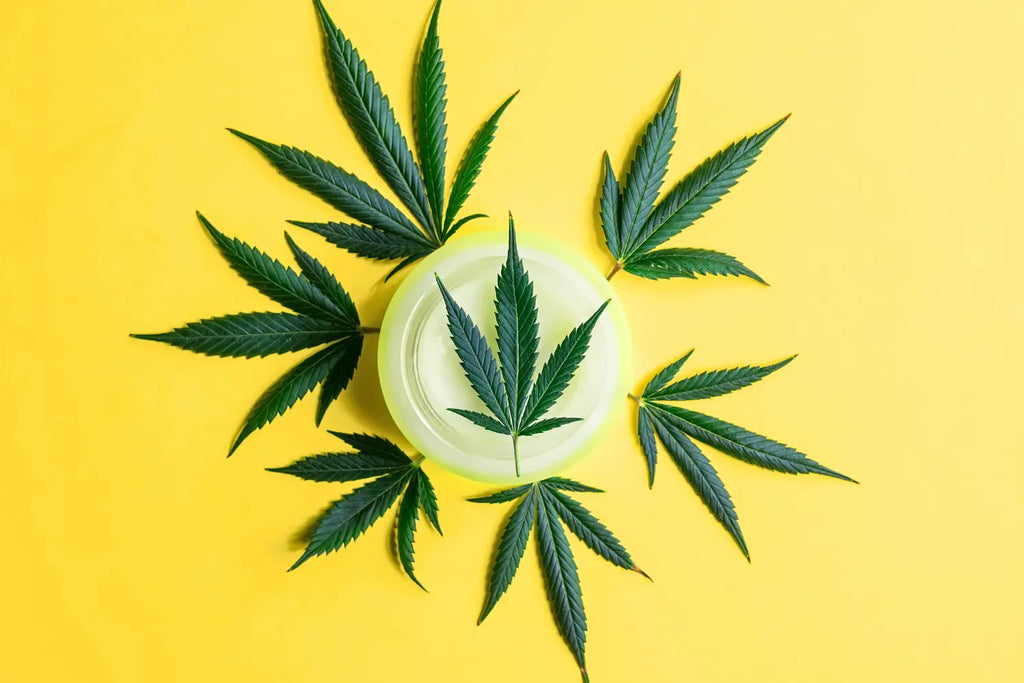 How to Create a Daily Wellness Routine Incorporating CBD