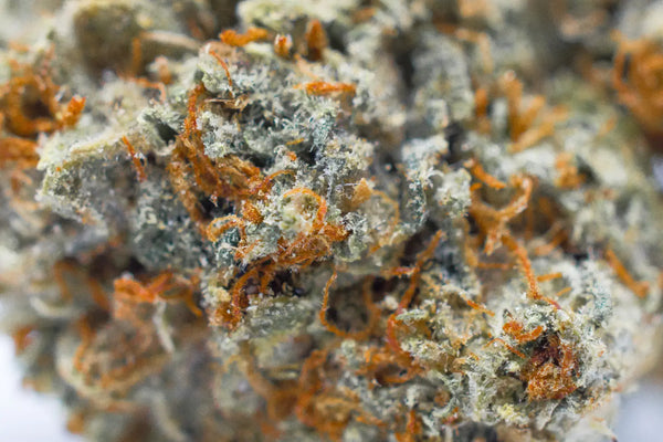 Is THCA Flower Real Weed? Understanding How THCA is Grown and Used