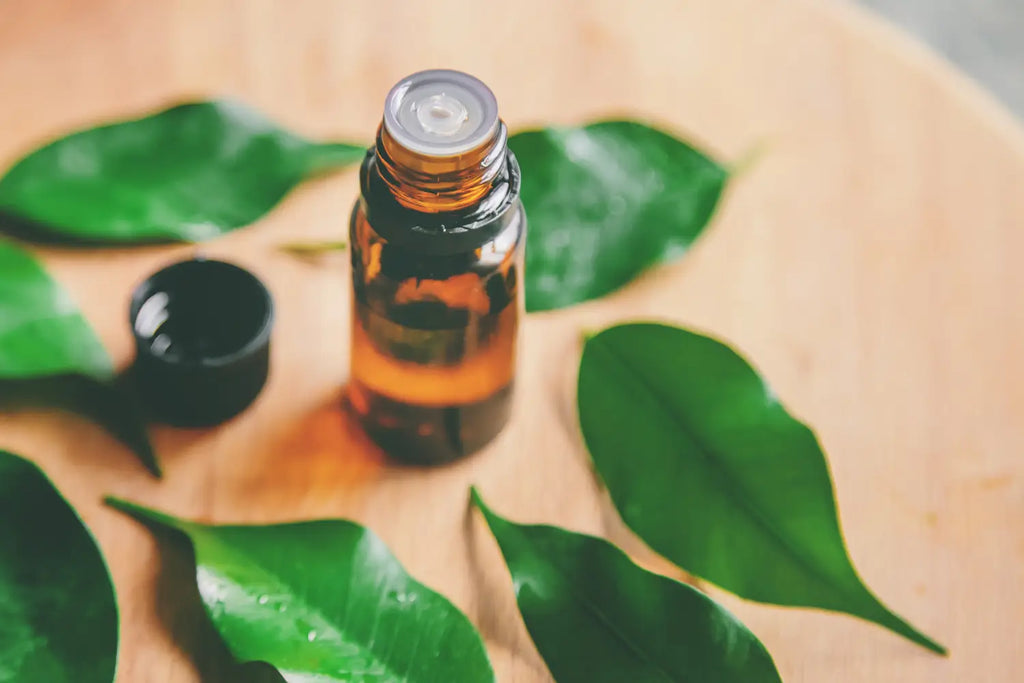 TERP TALK - Terpinene: The Cannabis Terpene with Potential Health Benefits