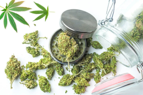The History of Hemp Cultivation