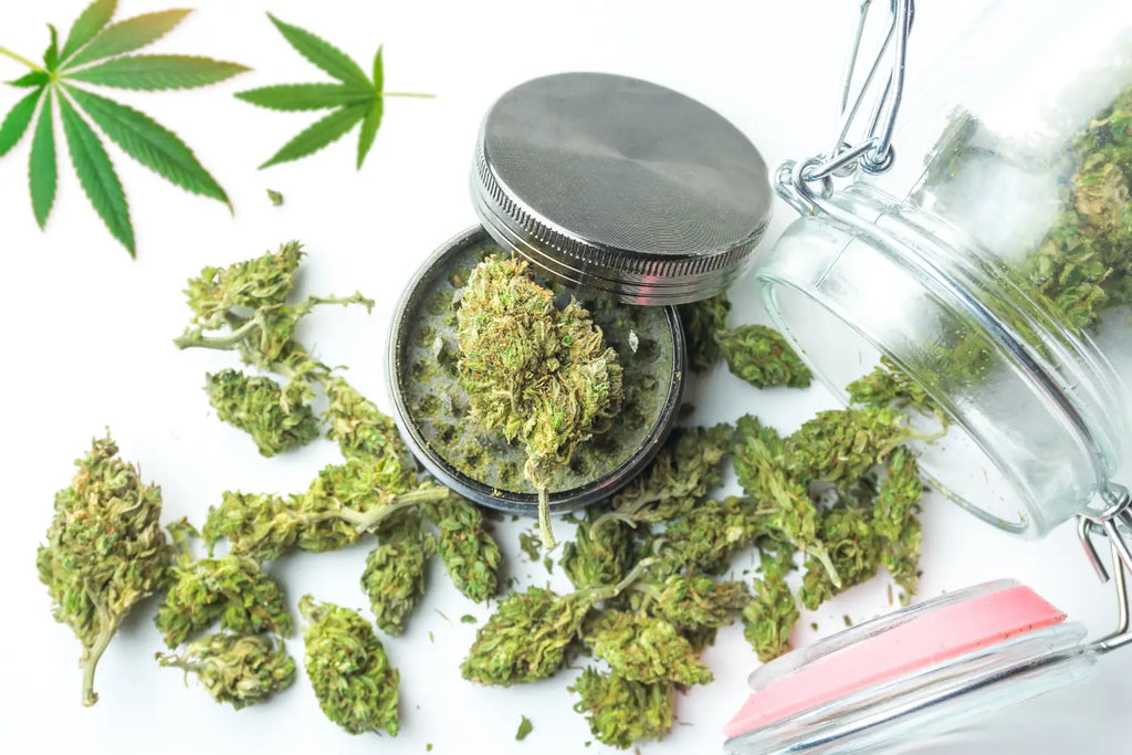The History of Hemp Cultivation