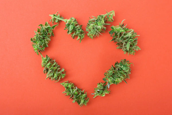 Unlocking the Potential Benefits of CBD for Heart Health: What Science Tells