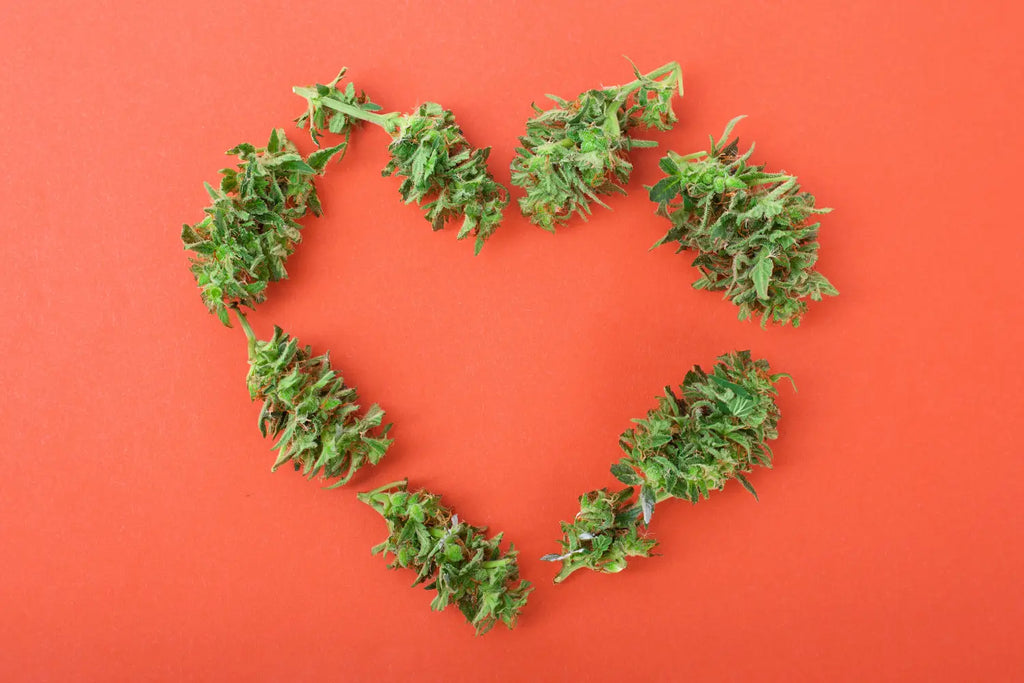 Unlocking the Potential Benefits of CBD for Heart Health: What Science Tells