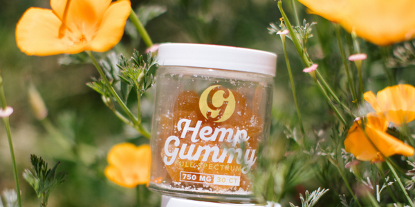 Hemp Gummy