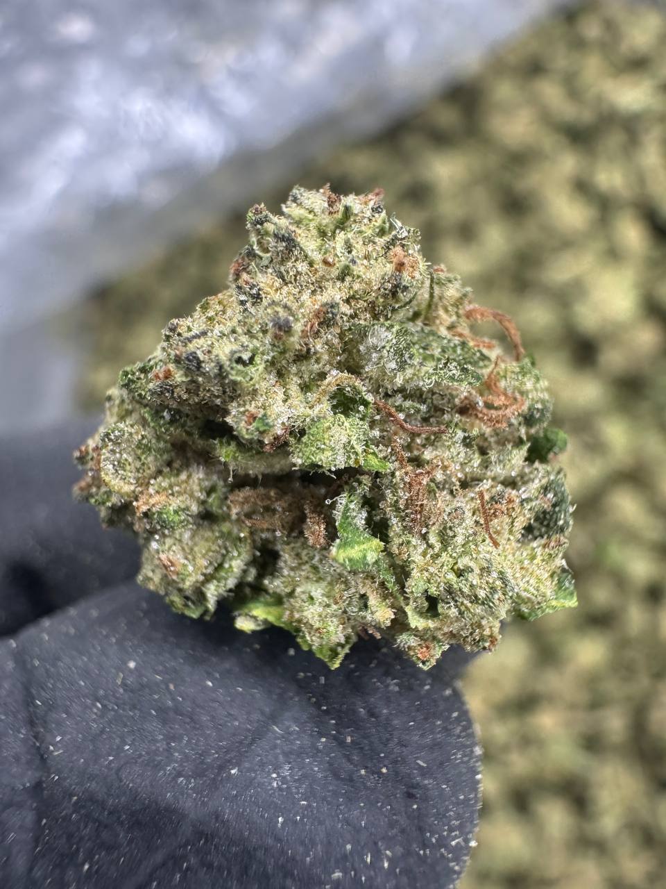 Apples and Bananas - THCA Flower - Greenhouse Gold Nuggets