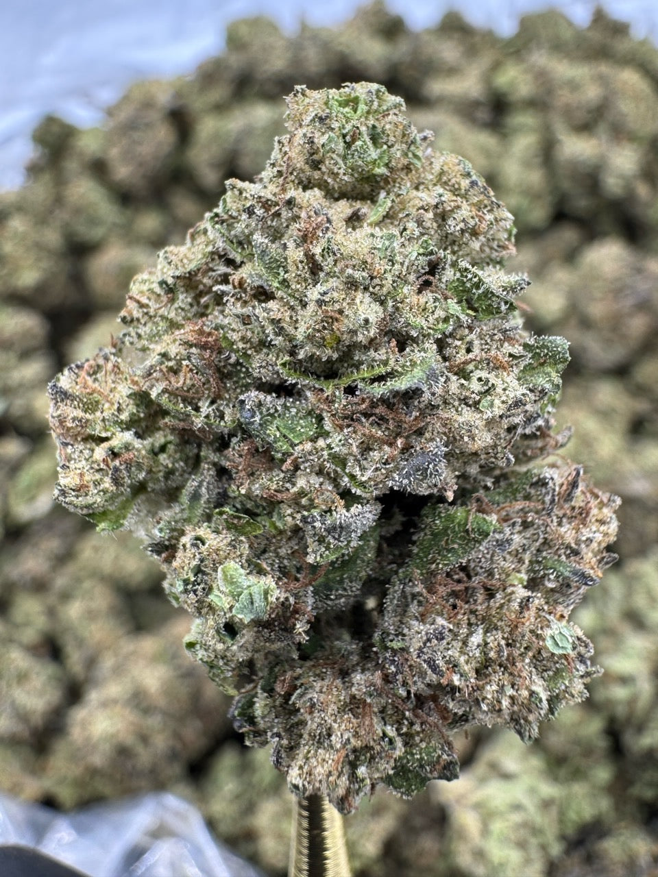 Magic Marker - THCA BULK FLOWER - TOP SHELF