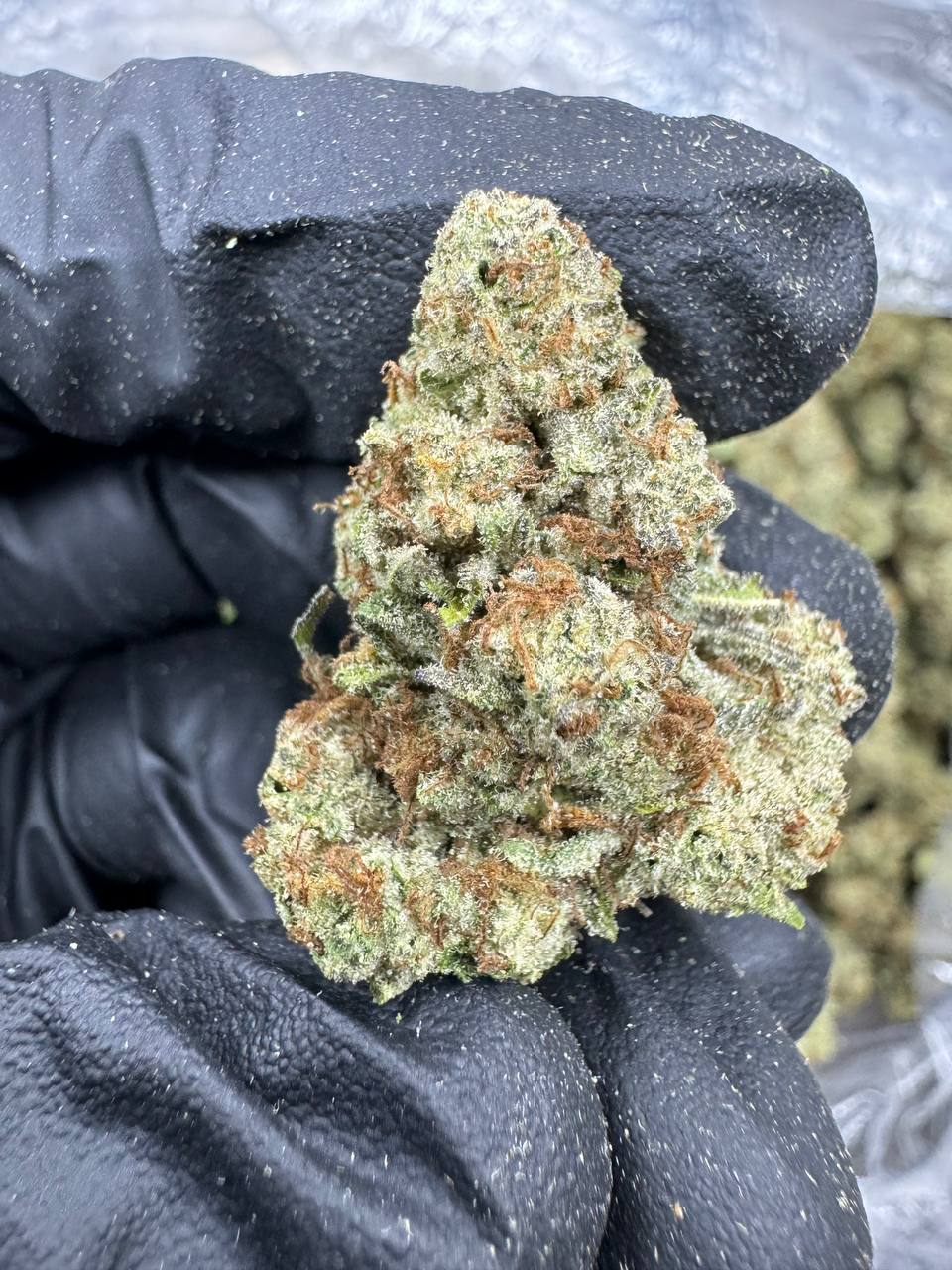 Purple Push Pop - THCA BULK FLOWER - AA INDOOR