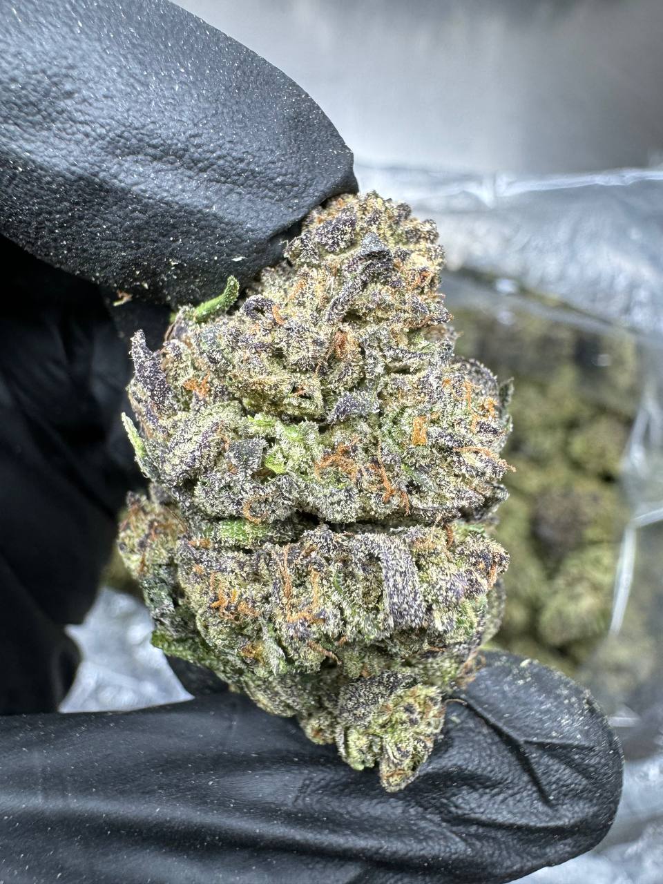 Italian Ice - THCA BULK Flower - Sungrown