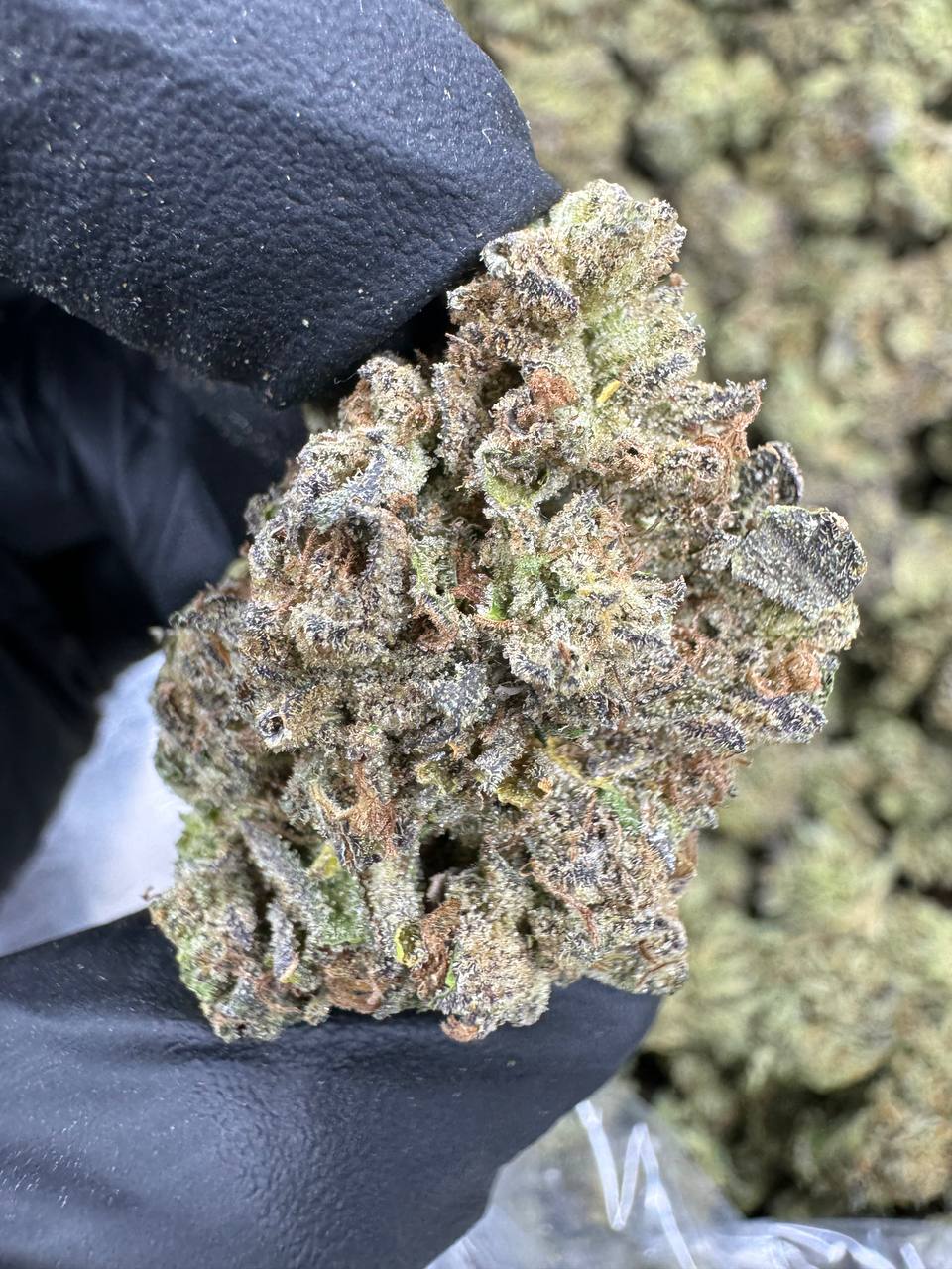 Wedding Cake - THCA BULK FLOWER - Top Shelf