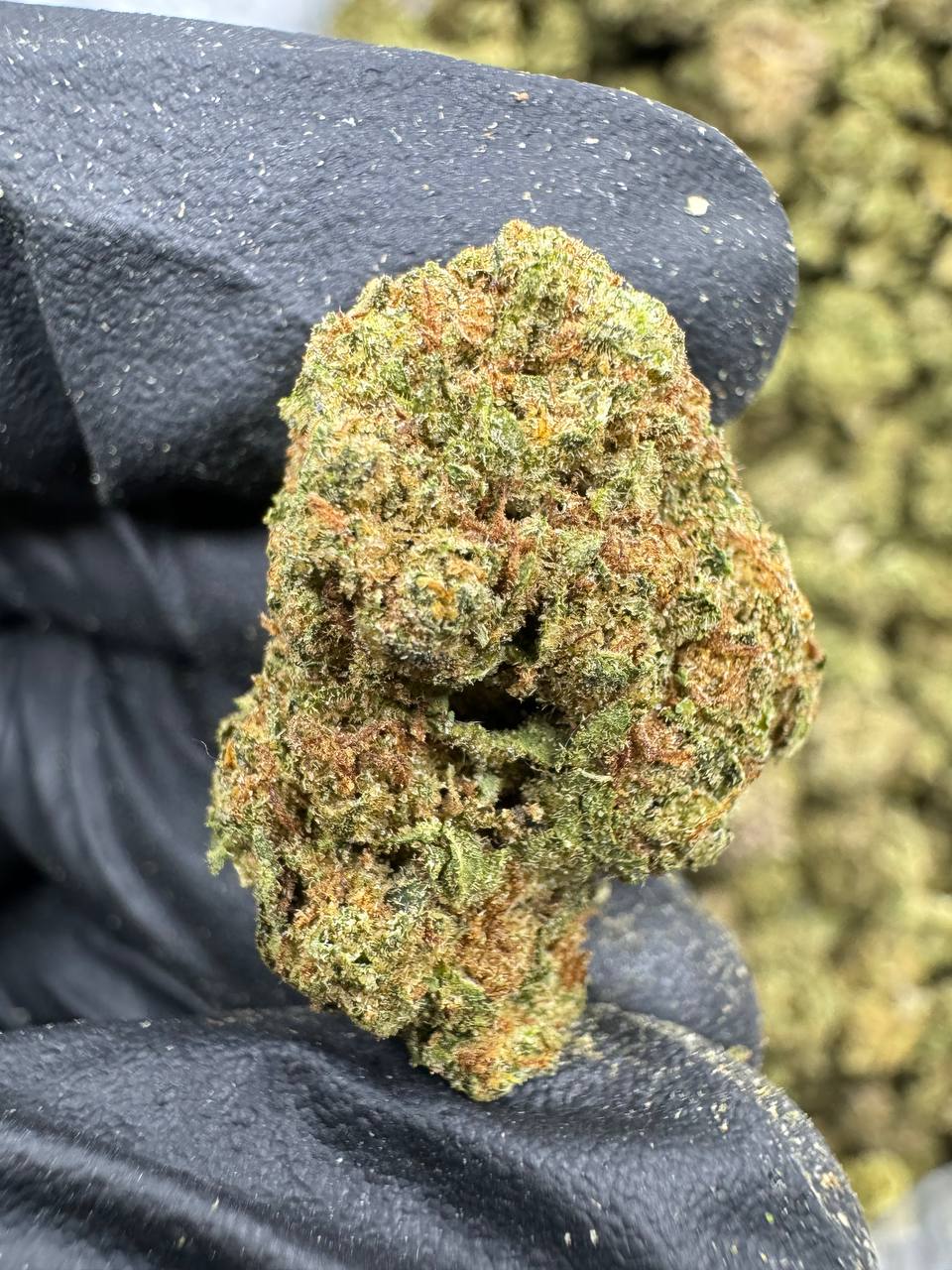 Super Boof - THCA BULK Flower - Sungrown
