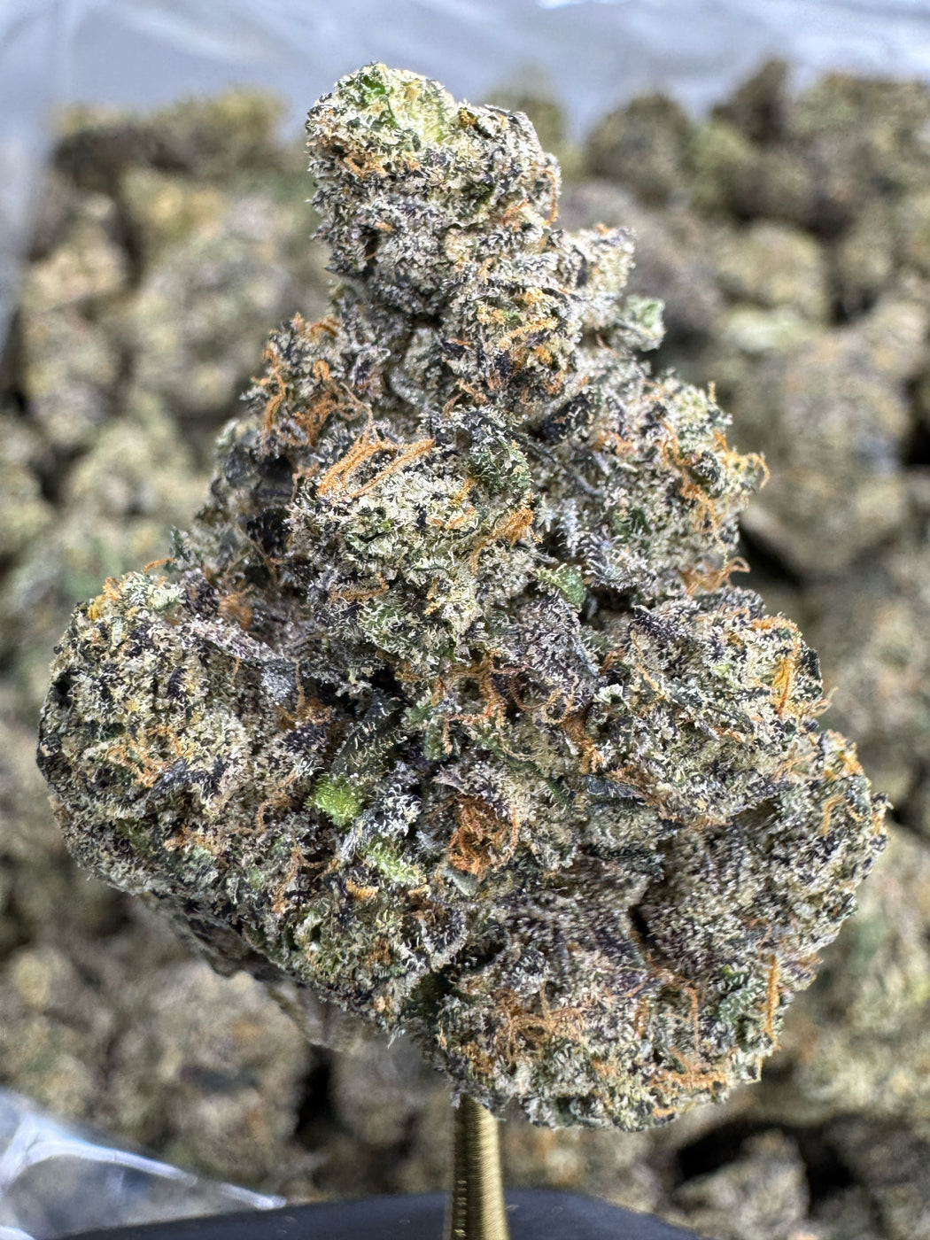 Acai Berry Gelato - THCA BULK FLOWER - EXOTIC INDOOR