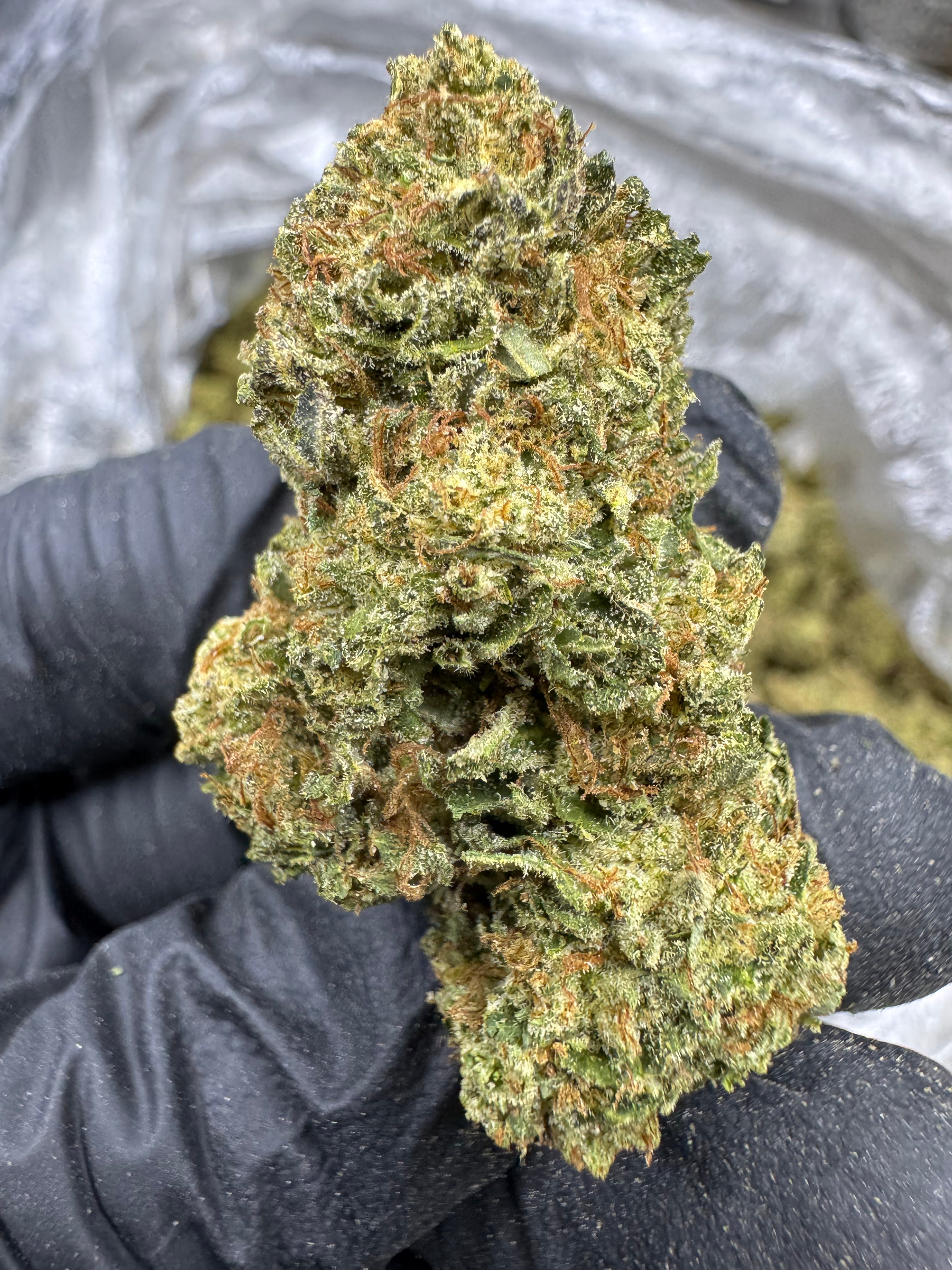 Acai Grape - THCA BULK Flower - Sungrown