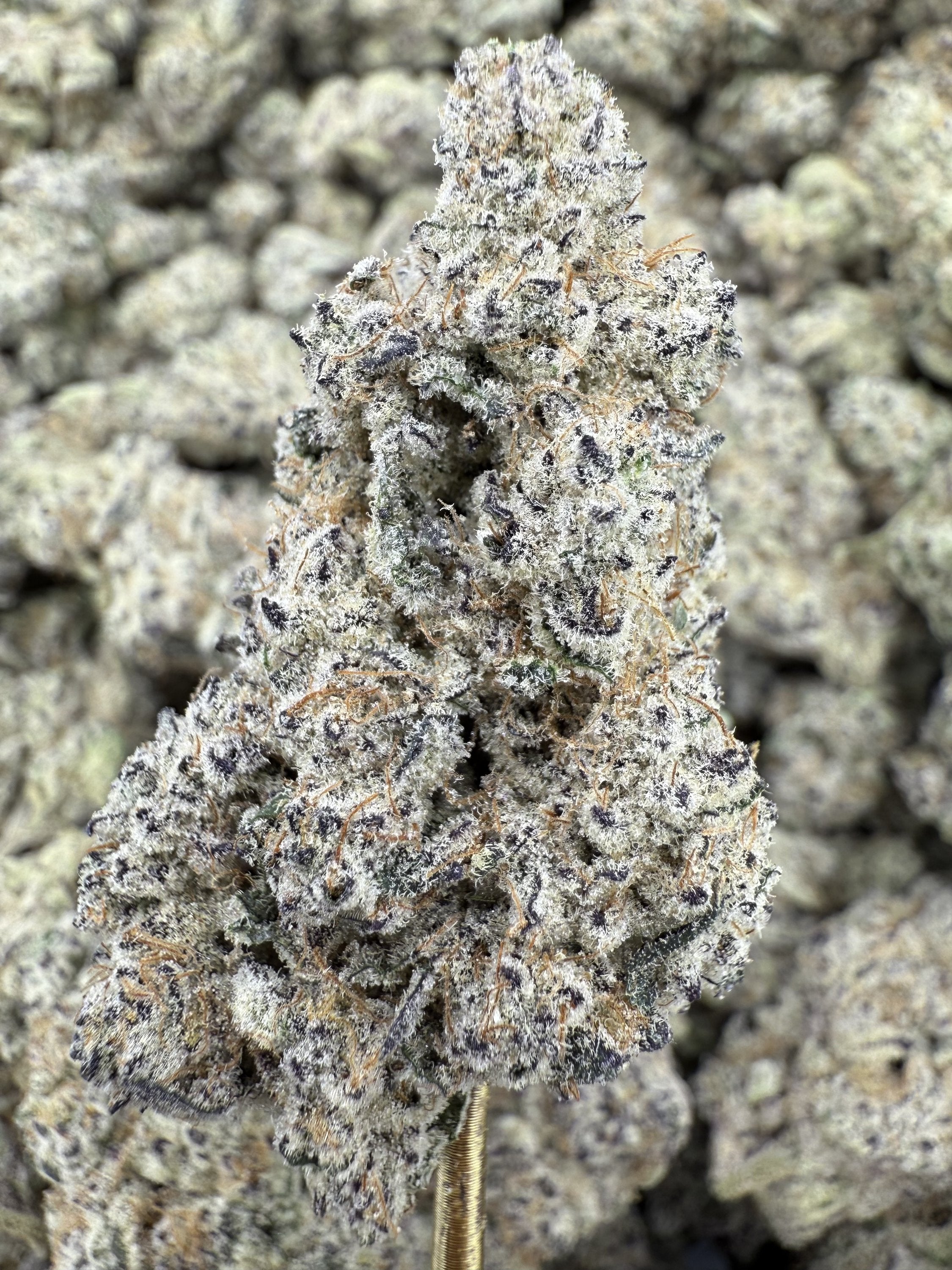 Aloha Sugar - THCA BULK Flower - Indoor Exotic