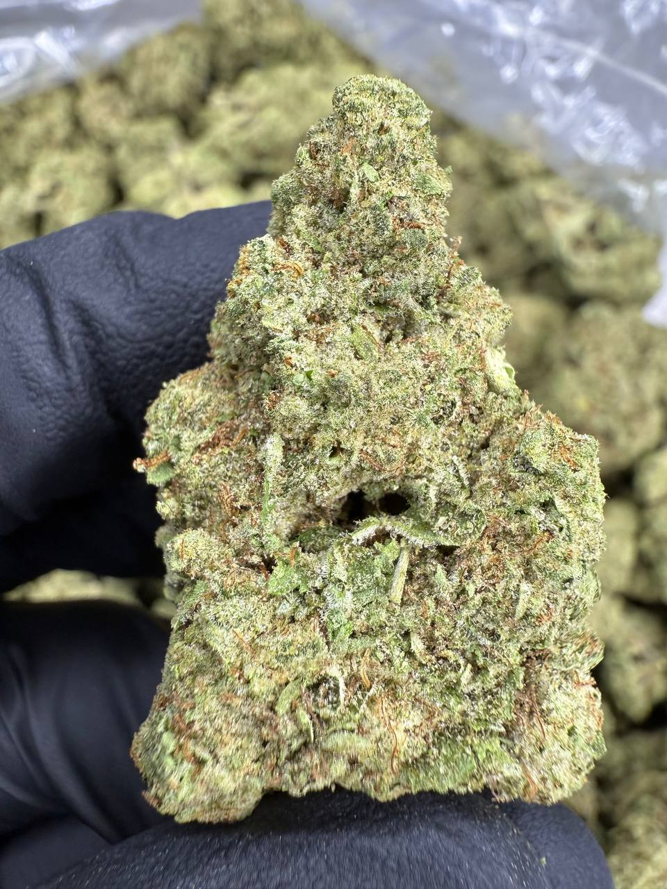 Animal Face - THCA Flower - Greenhouse Top Cut