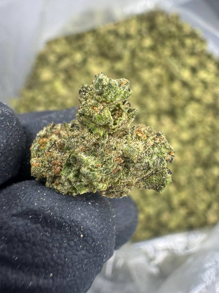 Animal Face - Gold Nuggets - THCa Flower TOP SHELF SMALLS