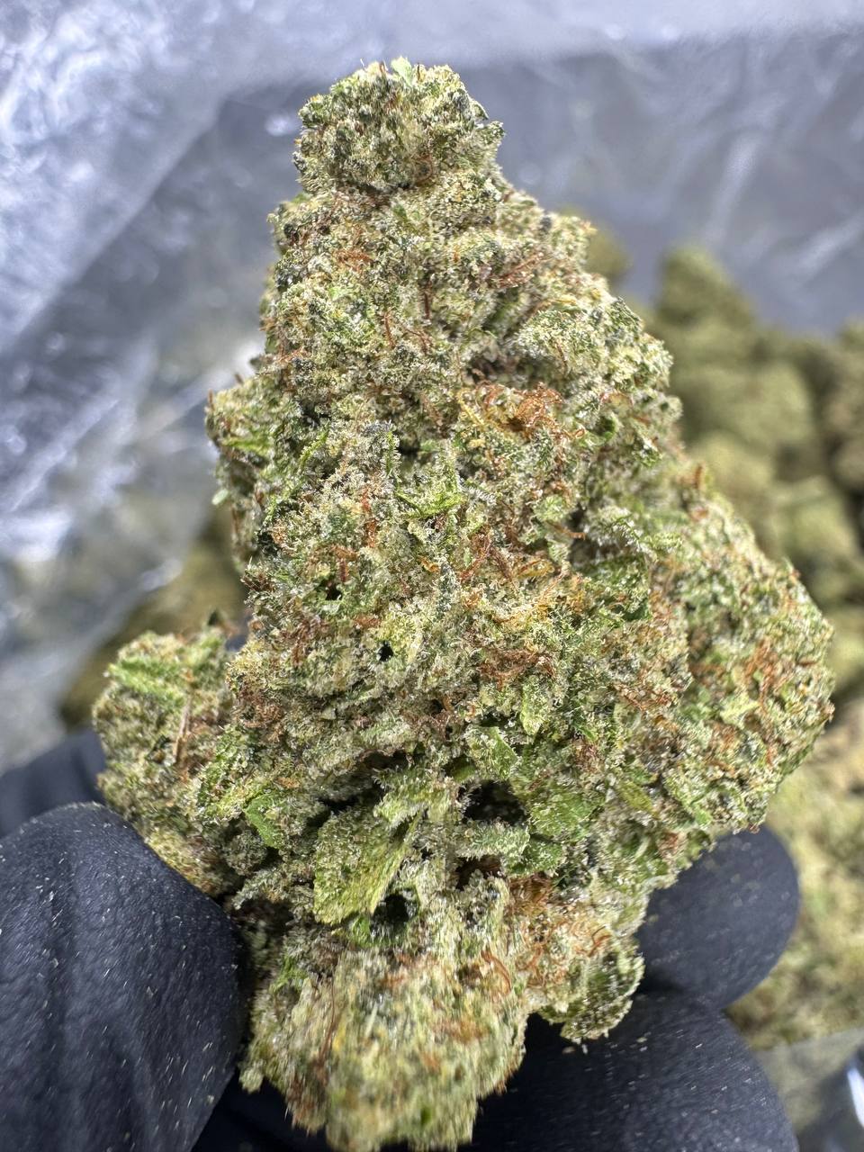 Animal Face - THCA BULK Flower - Greenhouse