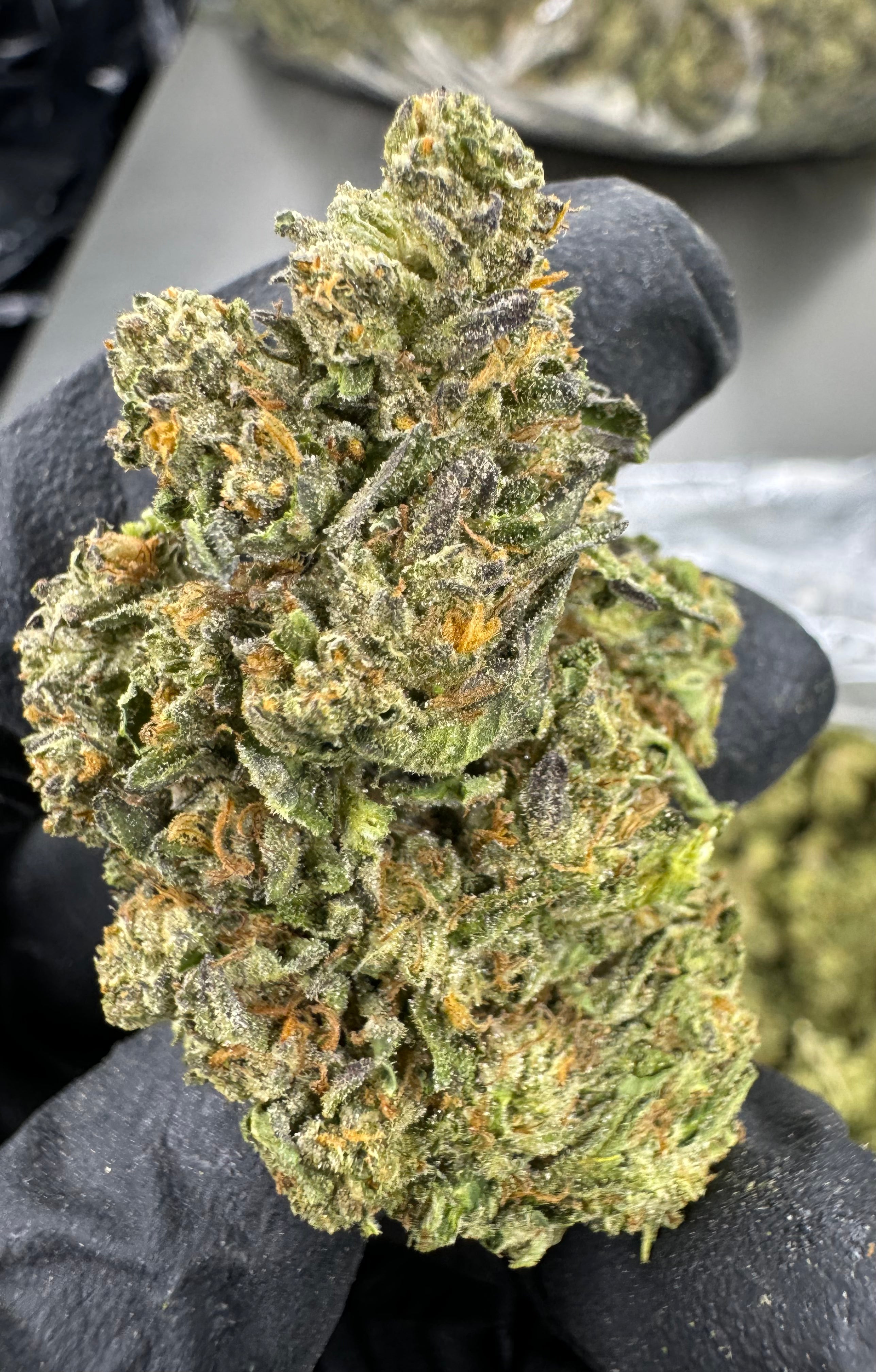 Apple Fritter - THCA Flower - Sungrown Top Cut
