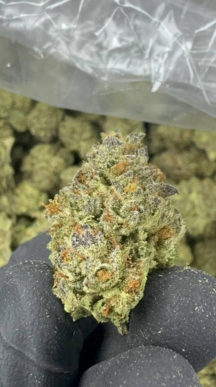 Apple Fritter - THCA BULK Flower - Sungrown