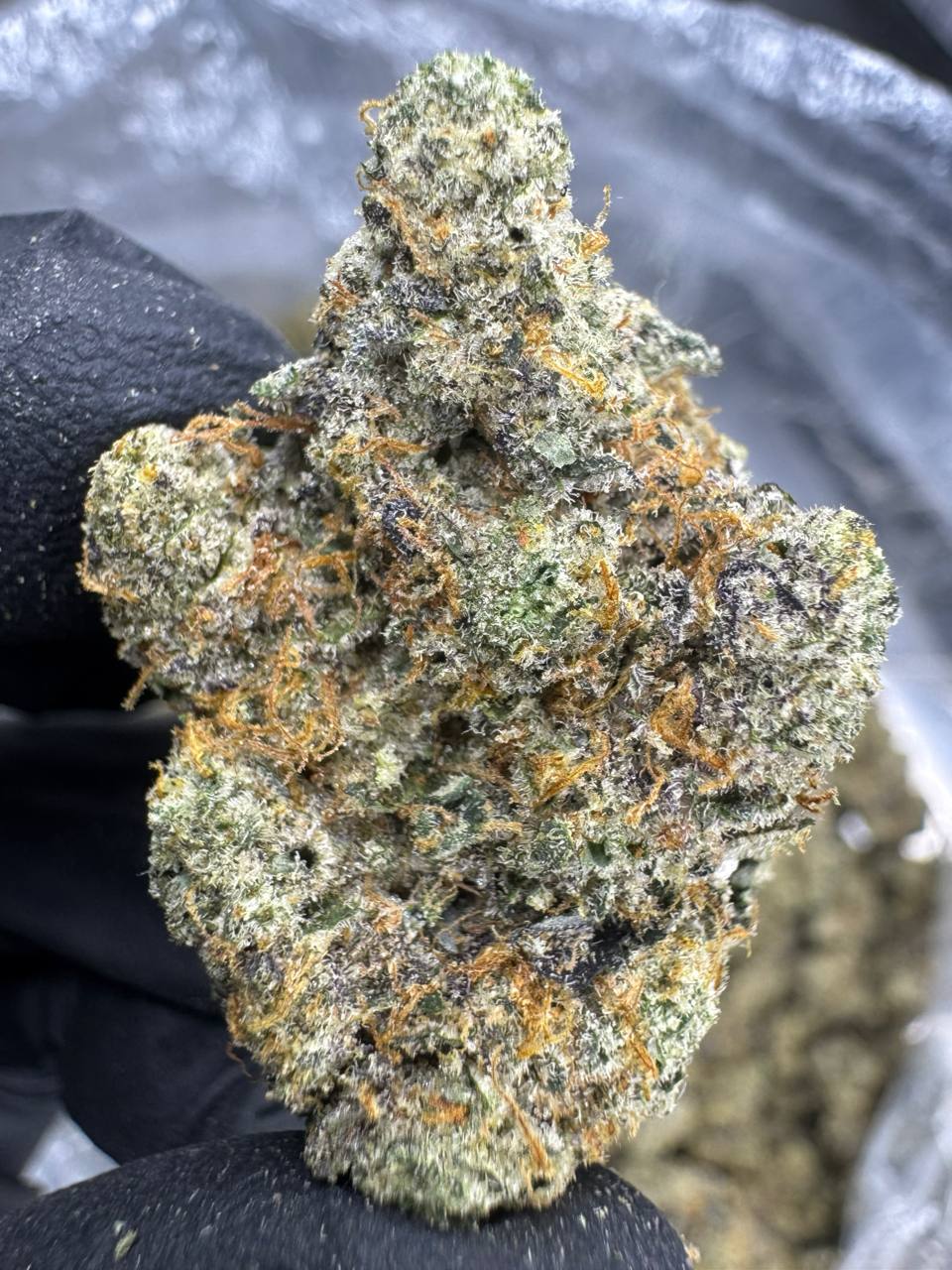 Apple Scotti - THCA Flower - Indoor Top Cut Exotic