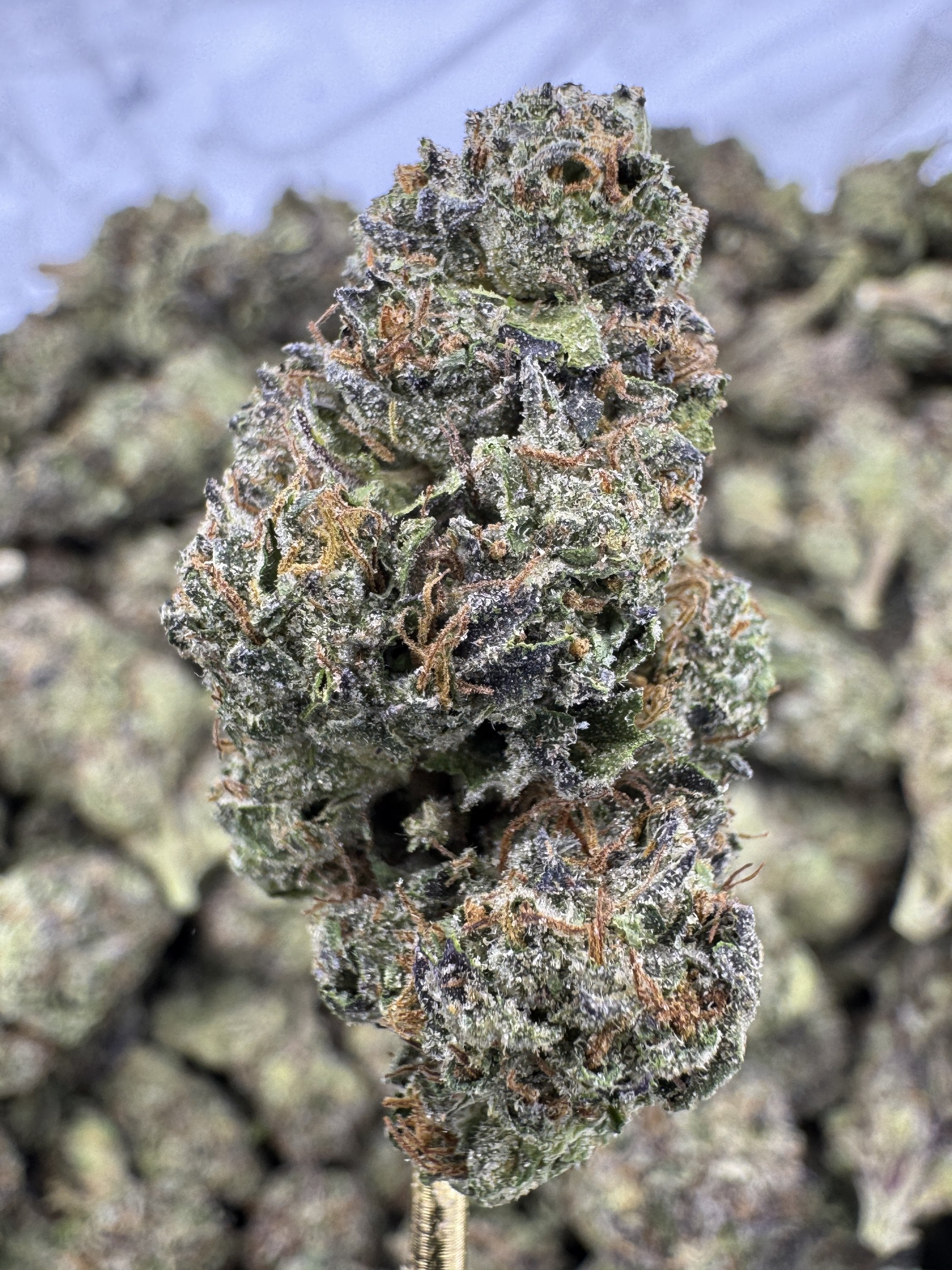 Apples and Bananas - THCA BULK Flower - Greenhouse