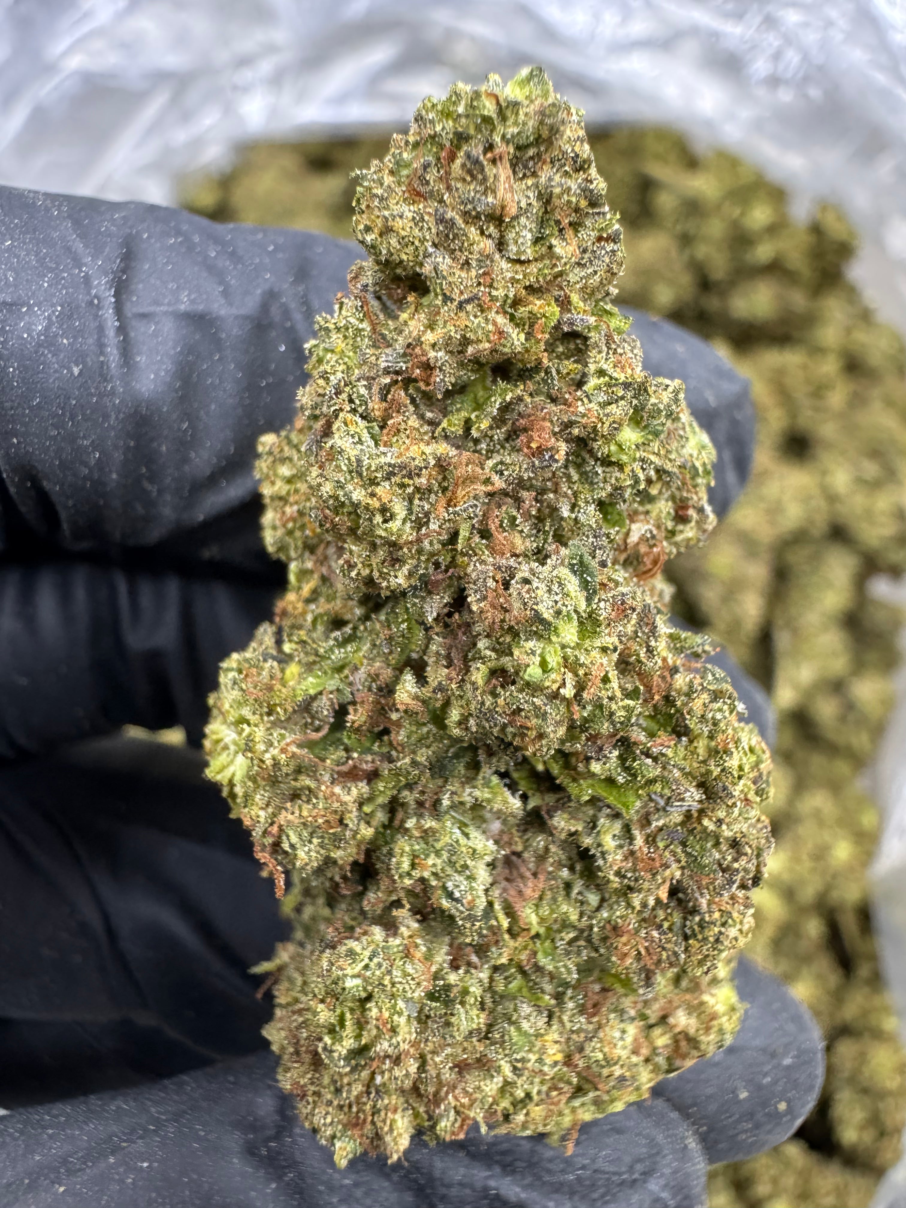 Apples and Bananas - THCA BULK Flower - Sungrown