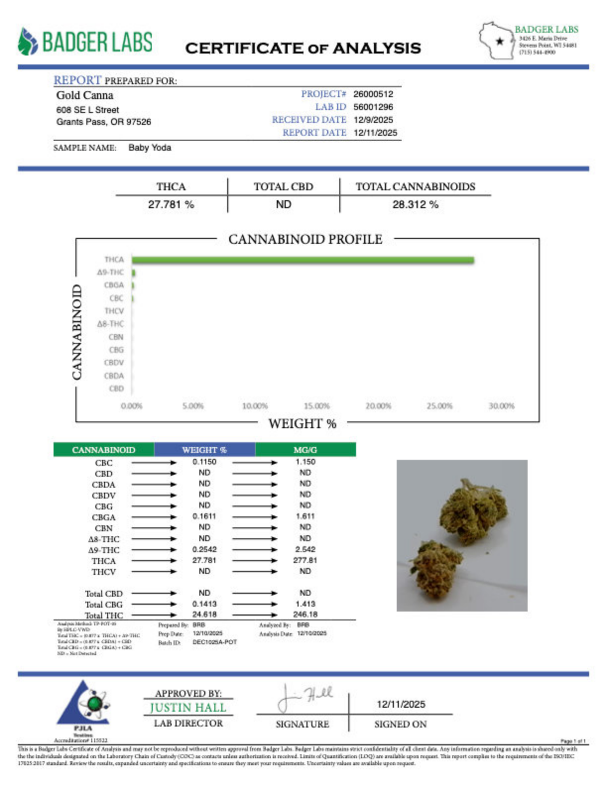 Baby Yoda - THCA BULK Flower - Indoor Exotic