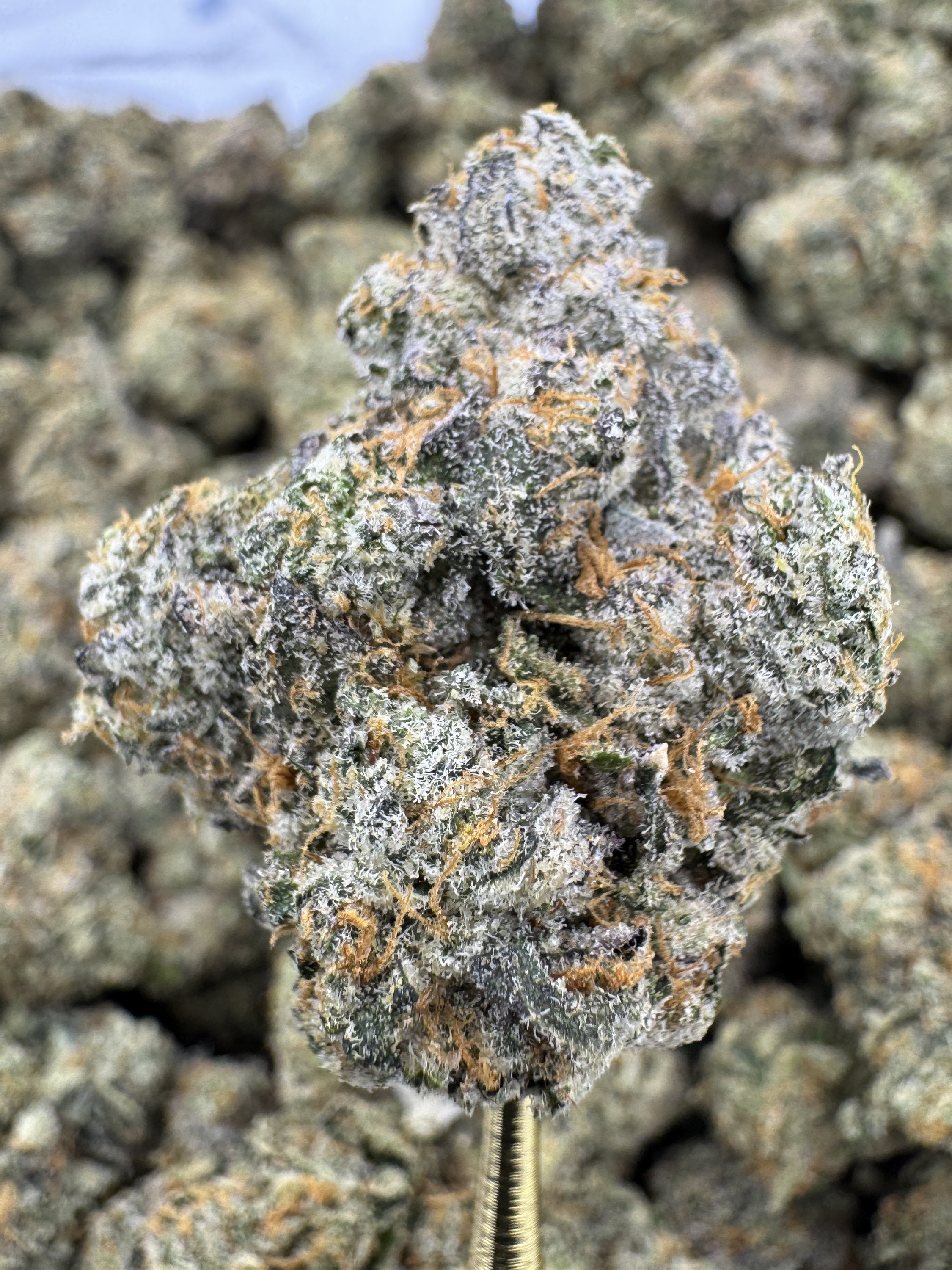 Baby Yoda - THCA BULK Flower - Indoor Exotic