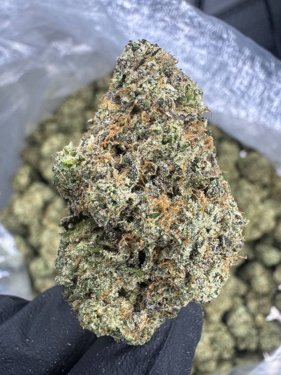 Baby Yoda - THCA BULK FLOWER - EXOTIC INDOOR