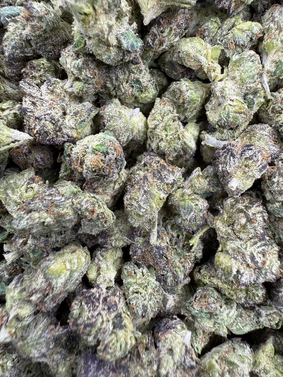 Bacio Gelato - Gold Nuggets - THCa Flower EXOTIC SMALLS
