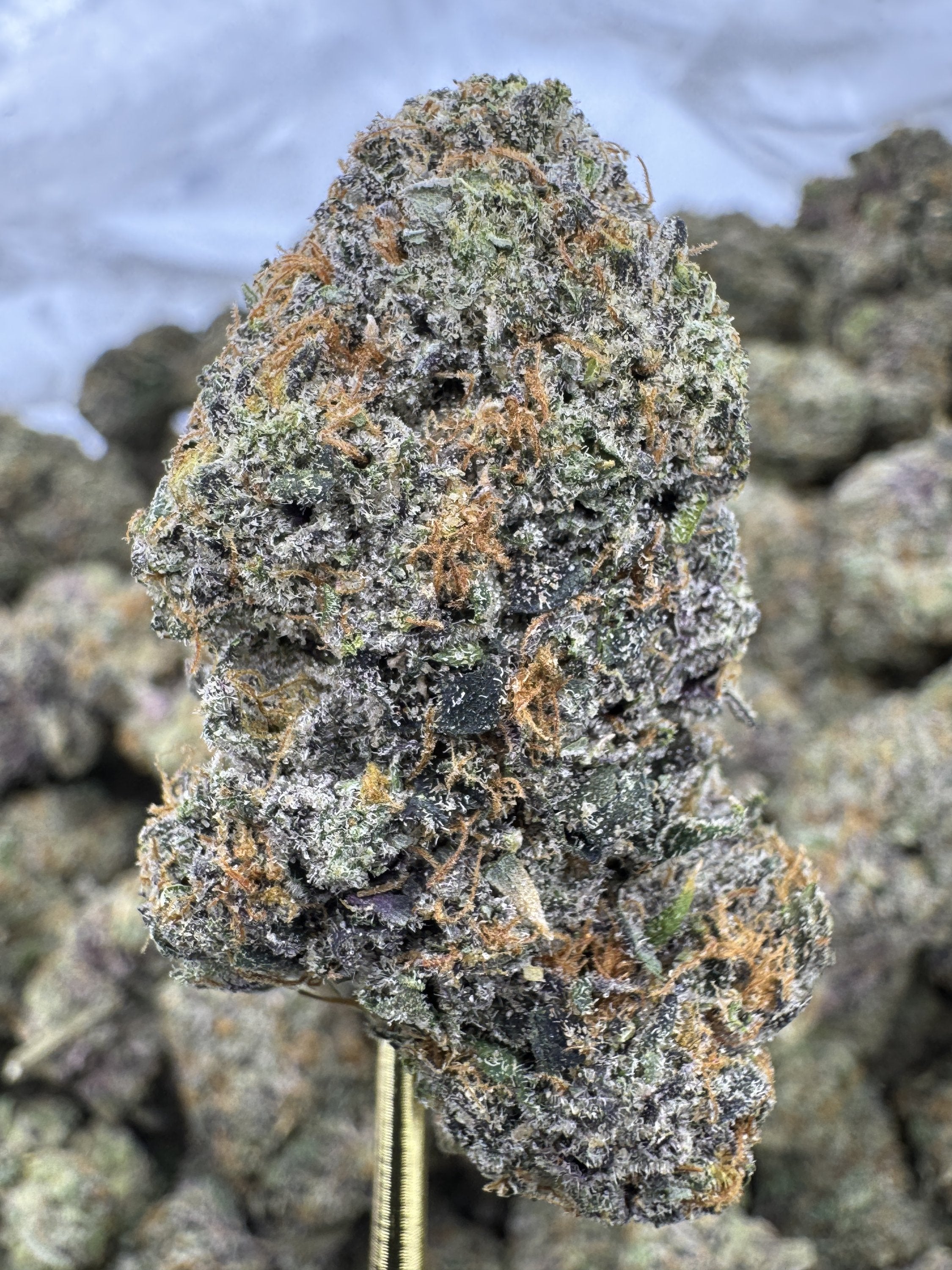 Berry Pie - THCA BULK Flower - Indoor Exotic