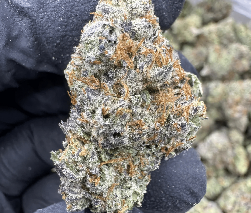 Best THCA Flower Online