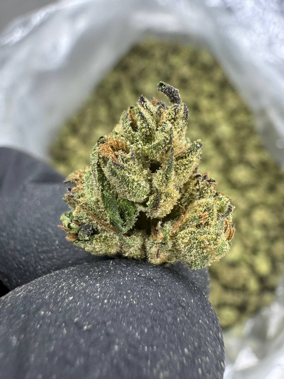 Birthday Cake - Gold Nuggets - THCa Flower TOP SHELF SMALLS