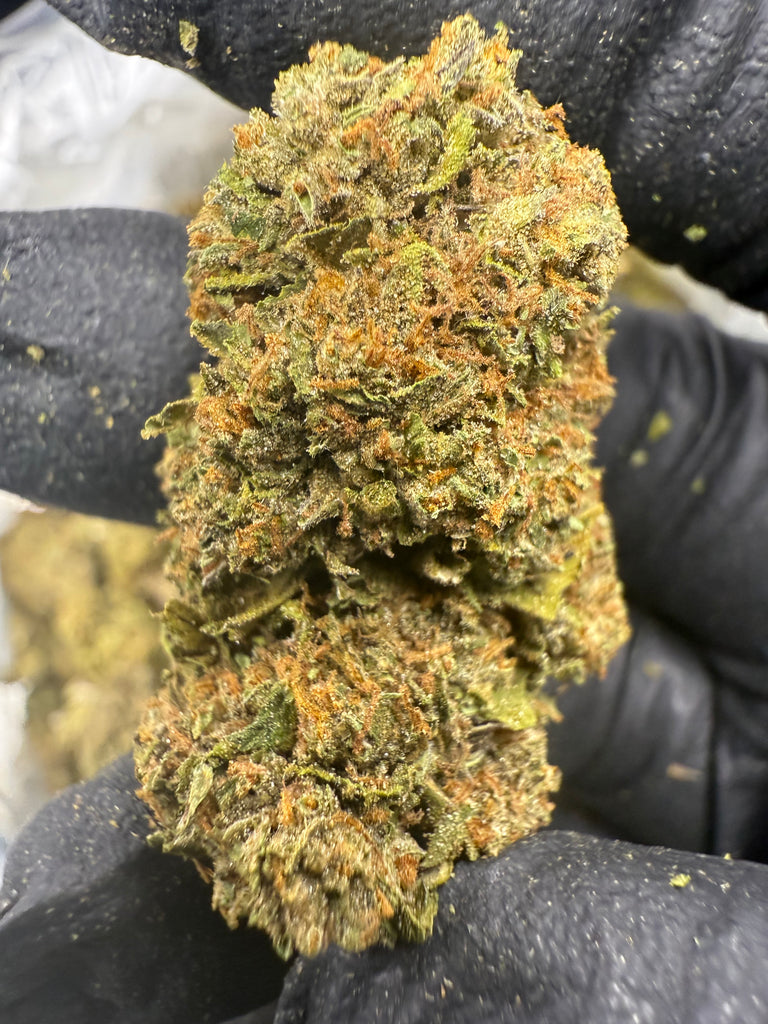 Biscotti - THCA BULK FLOWER - CLASSIC RESERVE