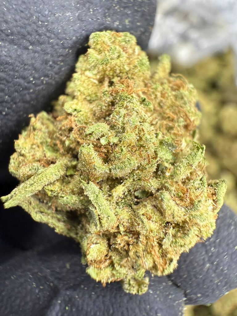 Biscotti - Gold Nuggets - THCa Flower TOP SHELF SMALLS