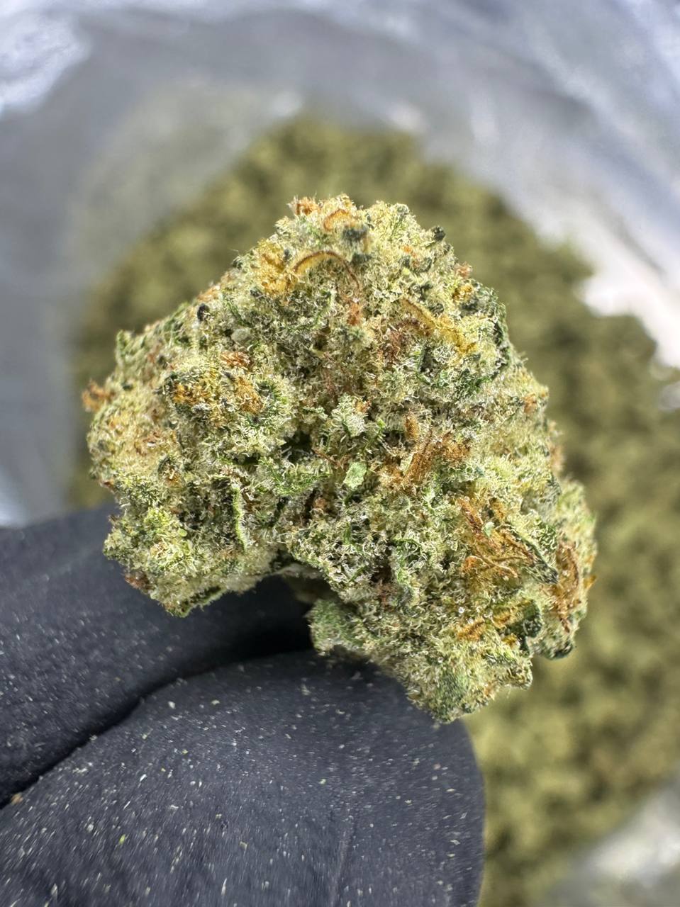 Biscotti Pancakes - THCA BULK Flower - Greenhouse Smalls
