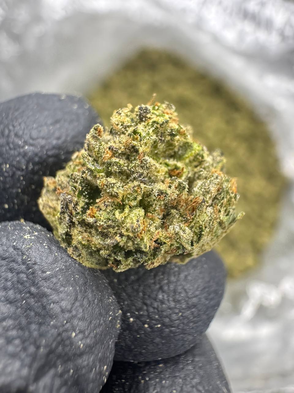 Biscotti - THCA BULK Flower - Greenhouse Smalls