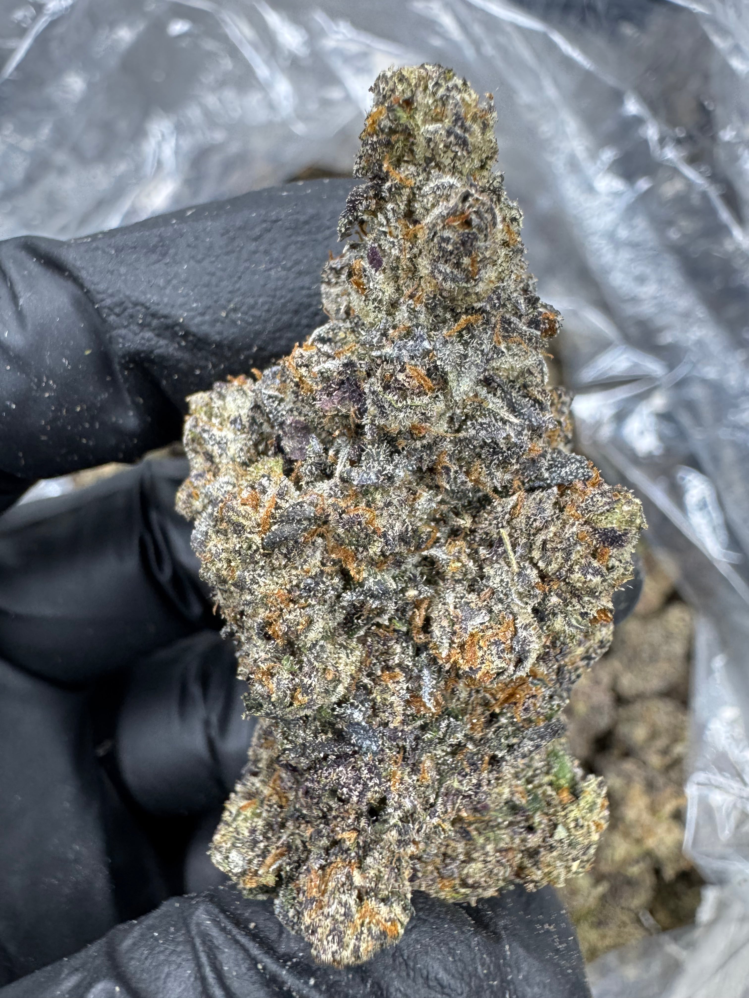 Black Runtz - THCA BULK Flower - Indoor Exotic
