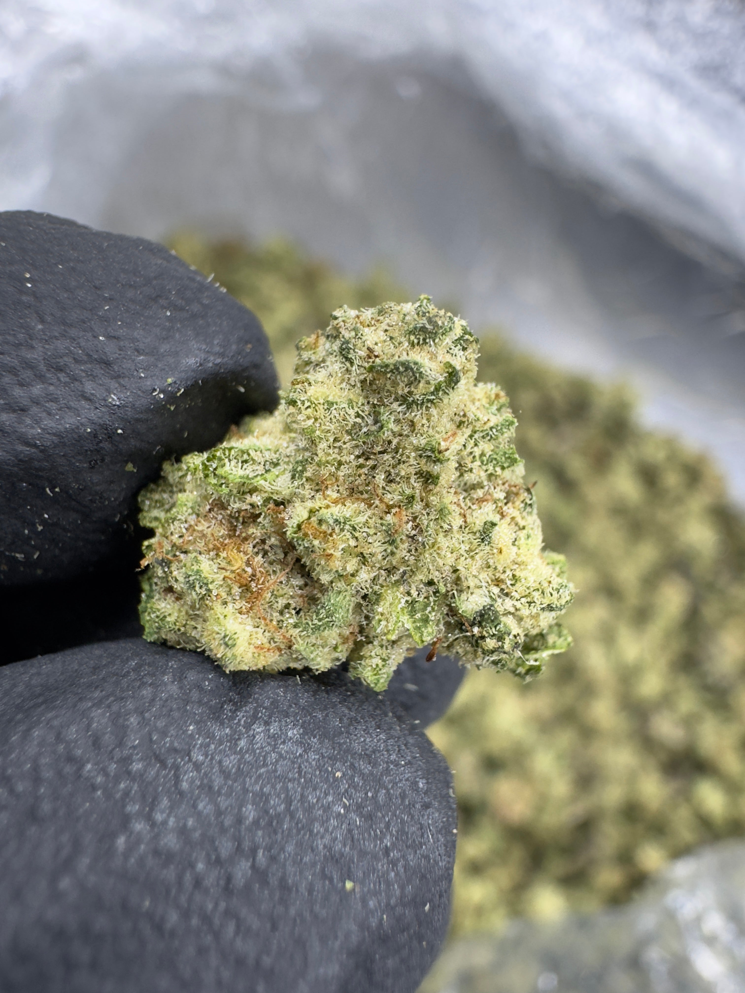 Black Amber - THCA Flower - Greenhouse Gold Nuggets