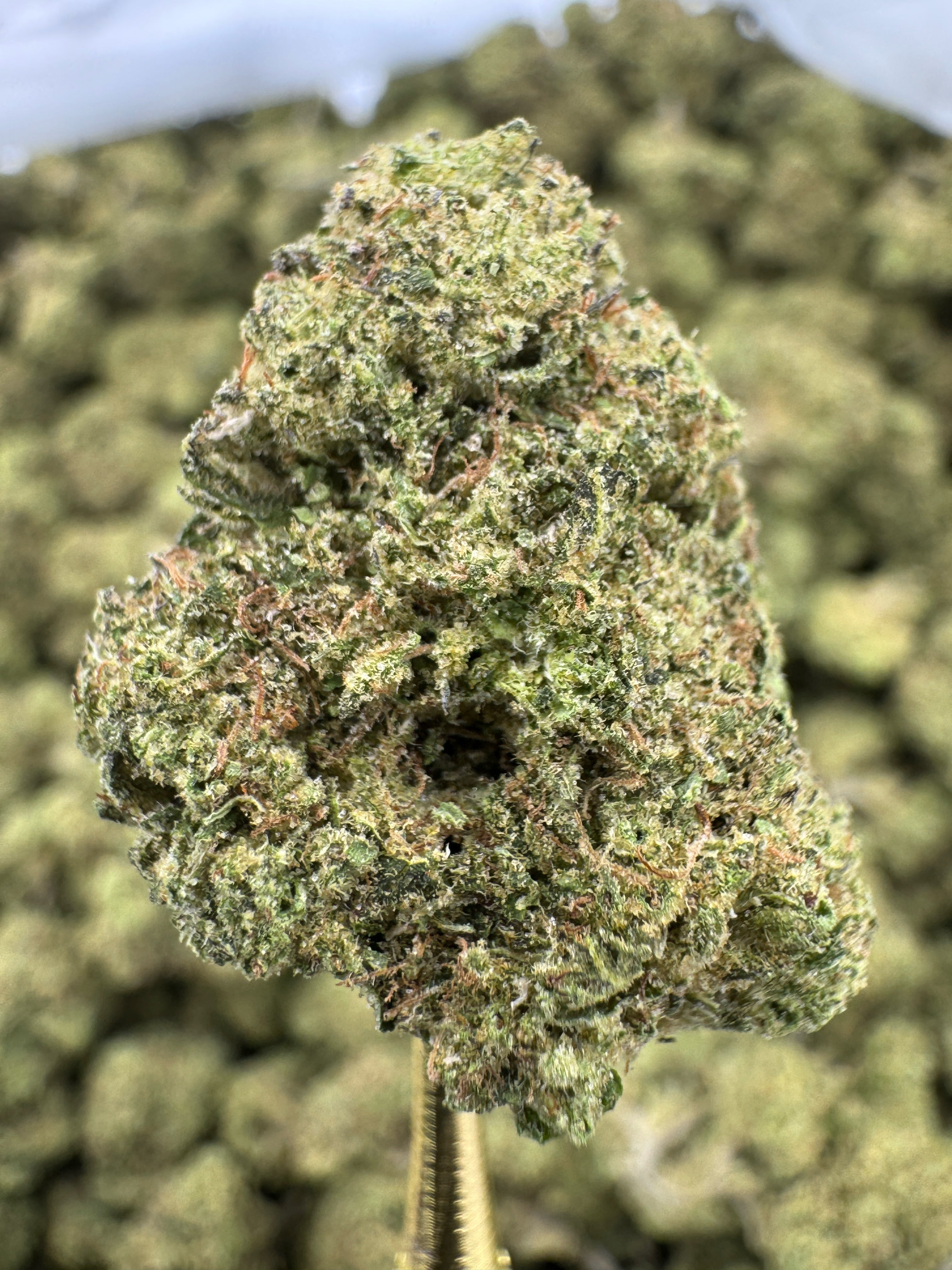 Black Amber - THCA BULK Flower - Greenhouse