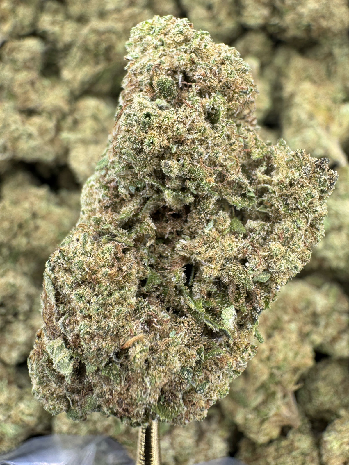 Black Cherry Gelato - THCA BULK Flower - Indoor