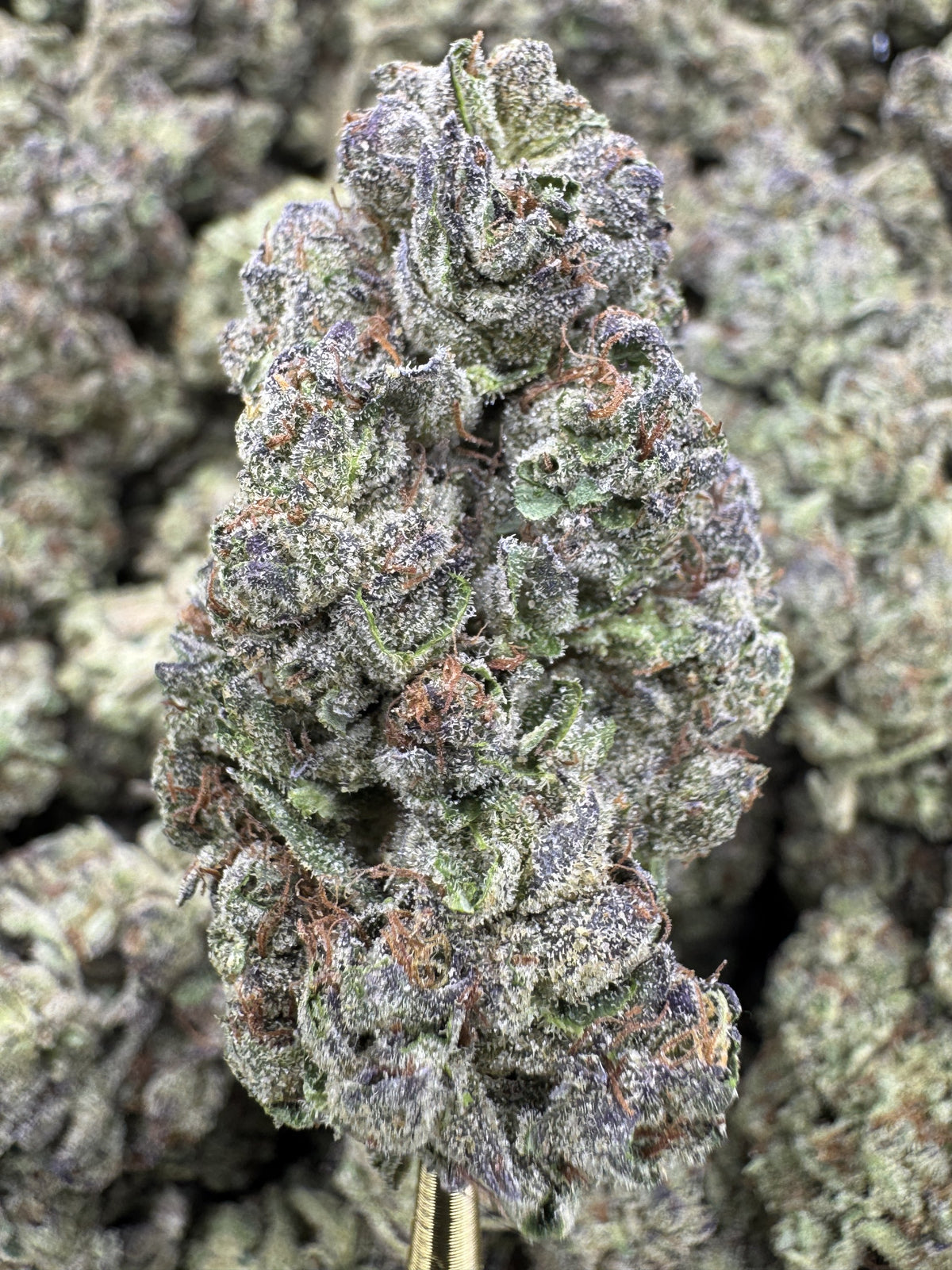 Black Ice - THCA BULK Flower - Greenhouse