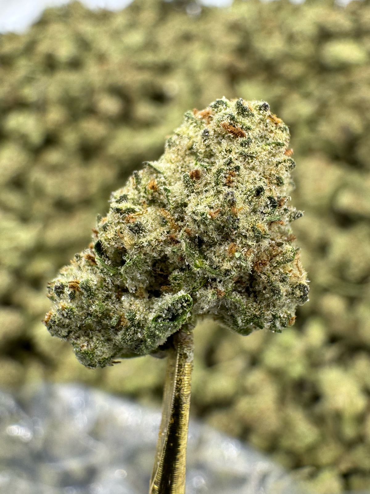 Black Ice - THCA BULK Flower - Indoor Smalls